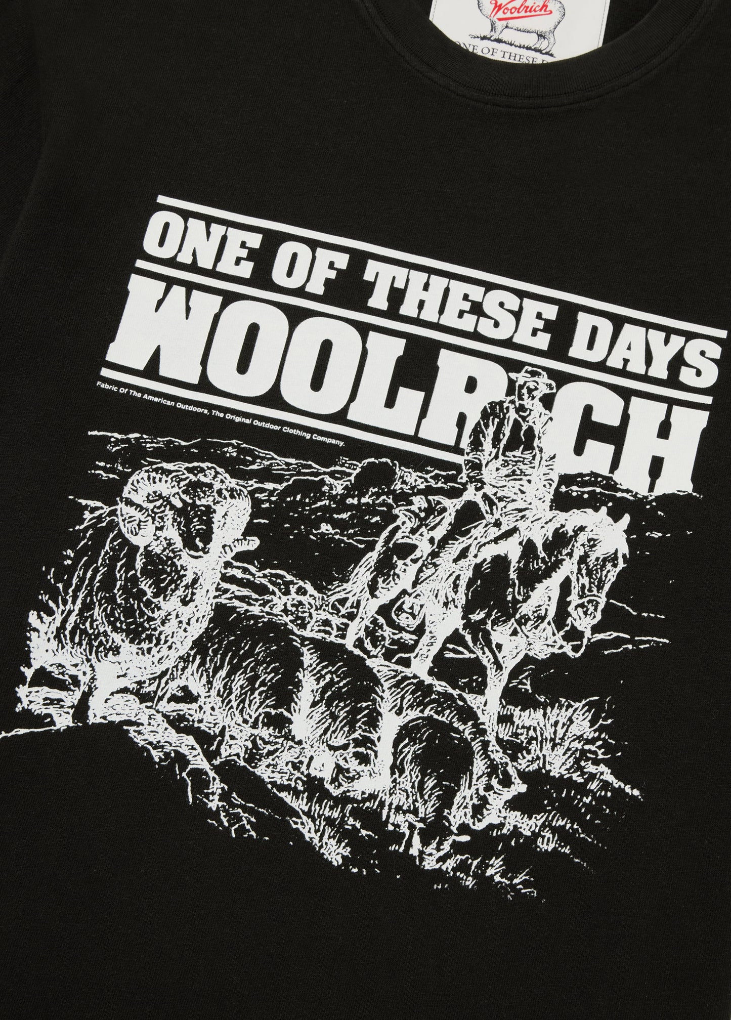 Woolrich Graphic Tee